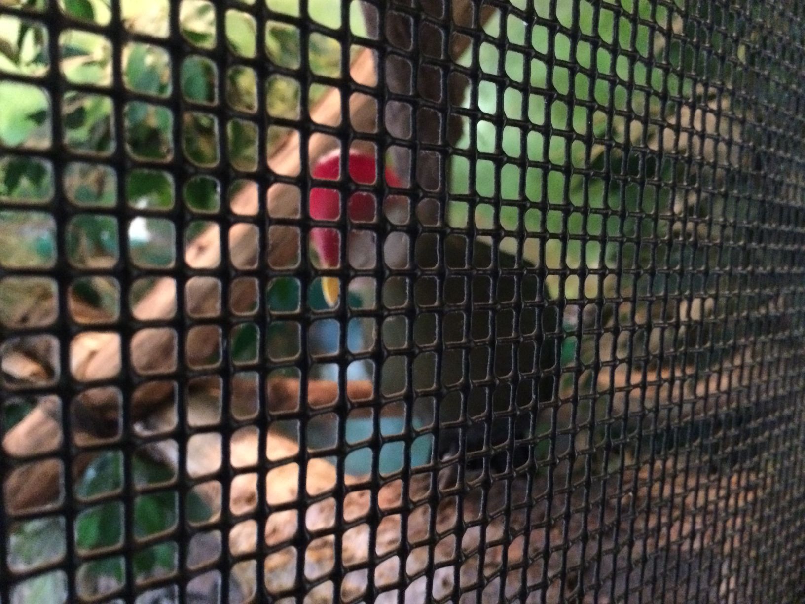 Washington Park Zoo